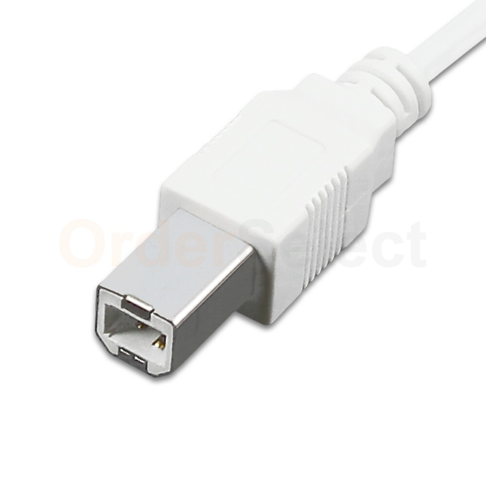 USB Printer Cable Adapter Type A Male to Type B Male PC Laptop Computer Cord 6FT