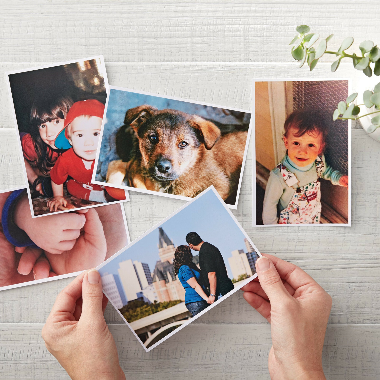 Lot Koala Inkjet Photo Paper Glossy 48lb 4X6 5X7 8×10 8.5X11 8.5×14 11X17 13X19