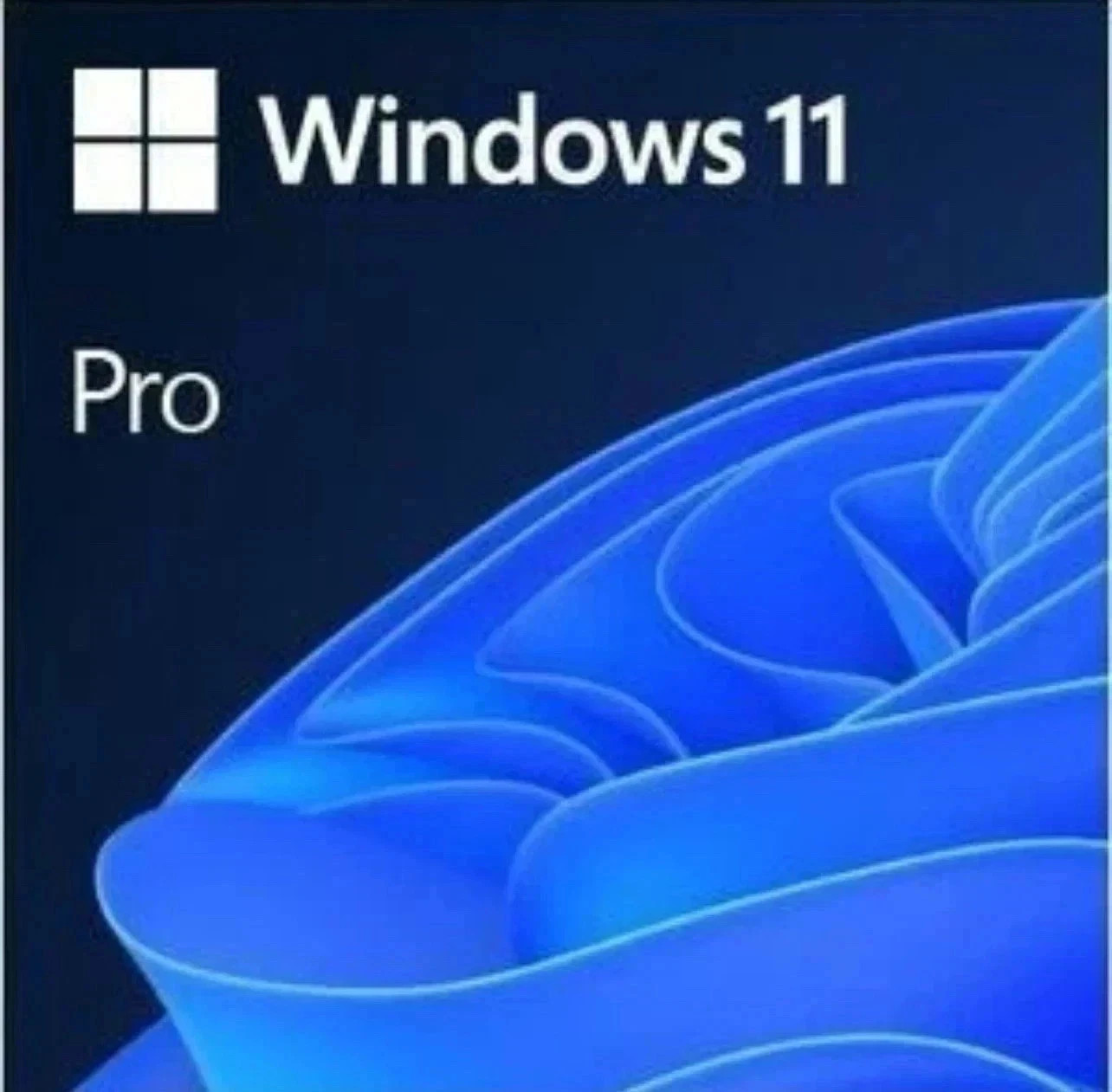 Microsoft Windows 11 Pro 64-Bit USB Flash Drive (HAV-00162)
