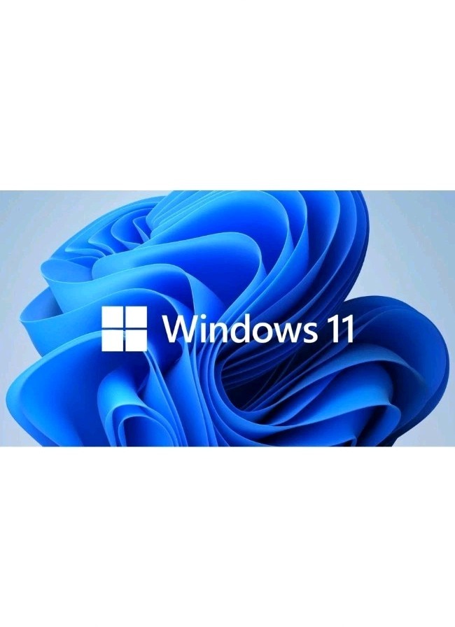 Windows 11 64bit 16GB USB Flash Drive Bootable Installation