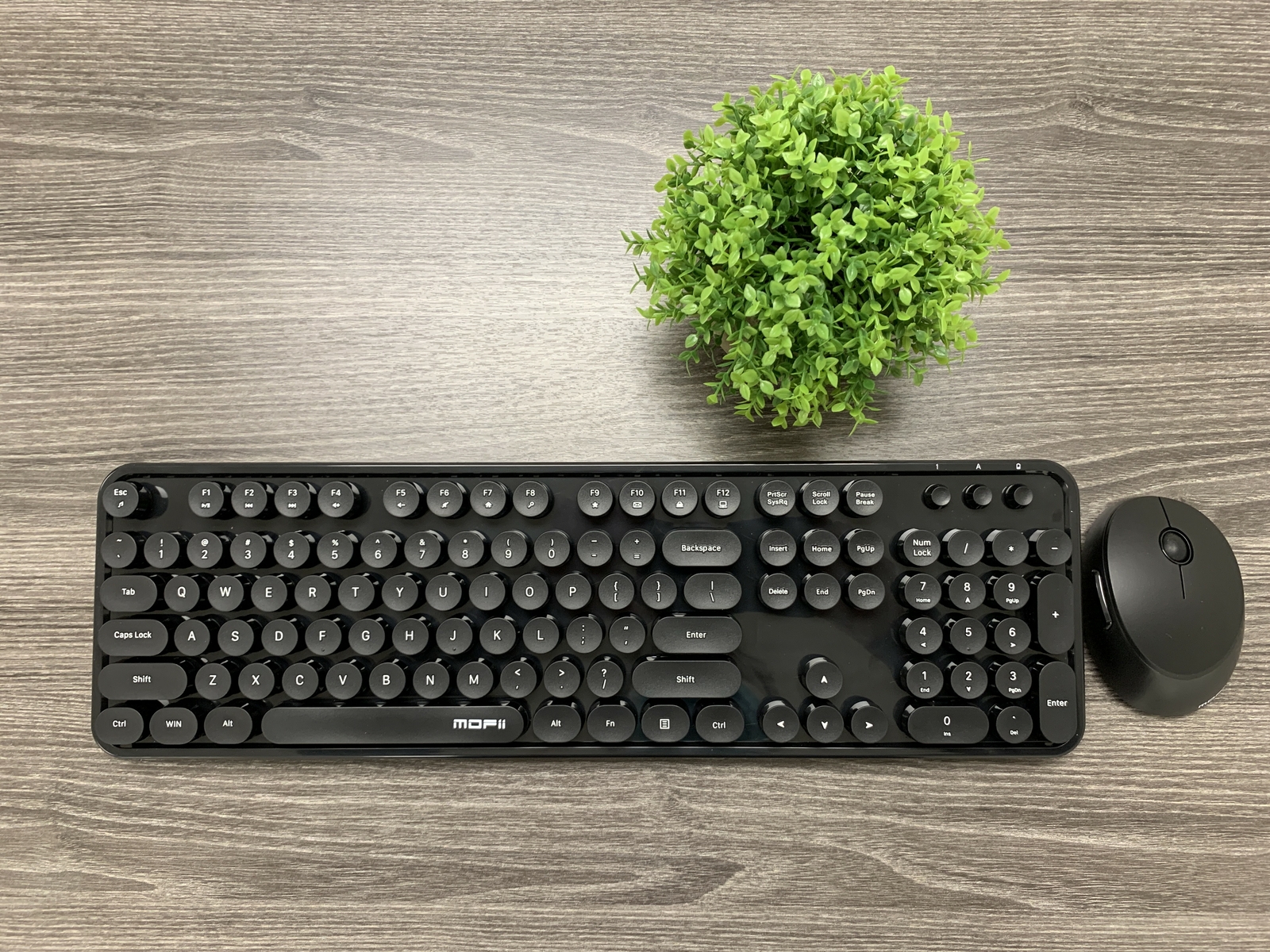 Ergonomic Sweet Mixed Color Cute Full Size Keyboard and Mouse for PC/Laptop/Mac