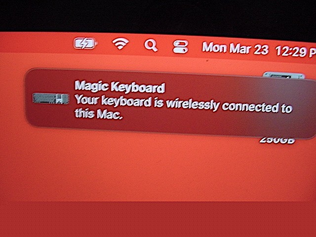 Apple Magic Keyboard with Touch ID Model A2520 (English/German Version)