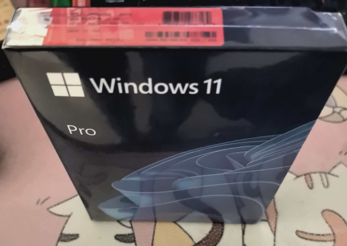 Brand New Microsoft Windows 11 Professional 64-bit USB Stick + KEY sticker