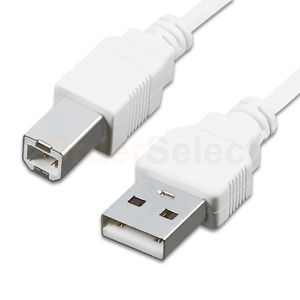 USB Printer Cable Adapter Type A Male to Type B Male PC Laptop Computer Cord 6FT