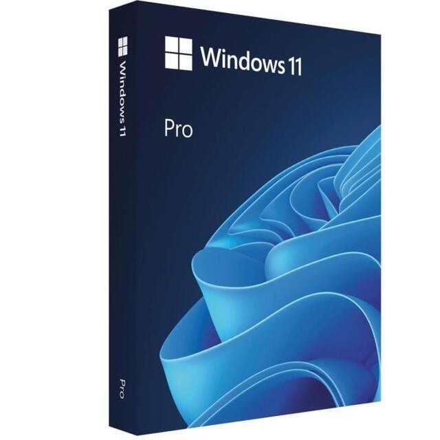 Microsoft Windows 11 Professional 64-Bit USB Flash Drive