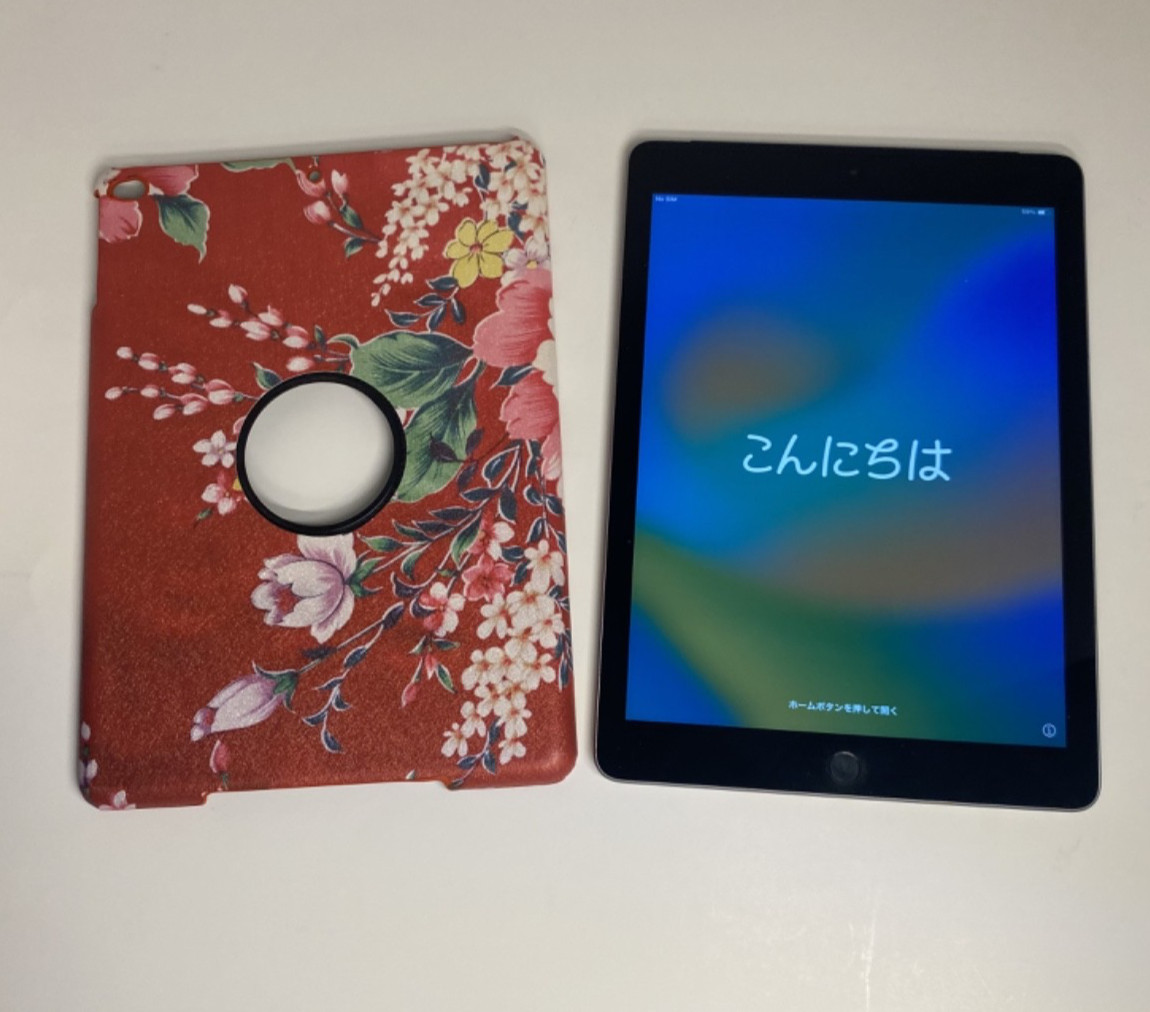 Apple iPad 5th Gen (A1823) Wi-Fi + Cellular (Unlocked Status Unknown) 32GB Reset