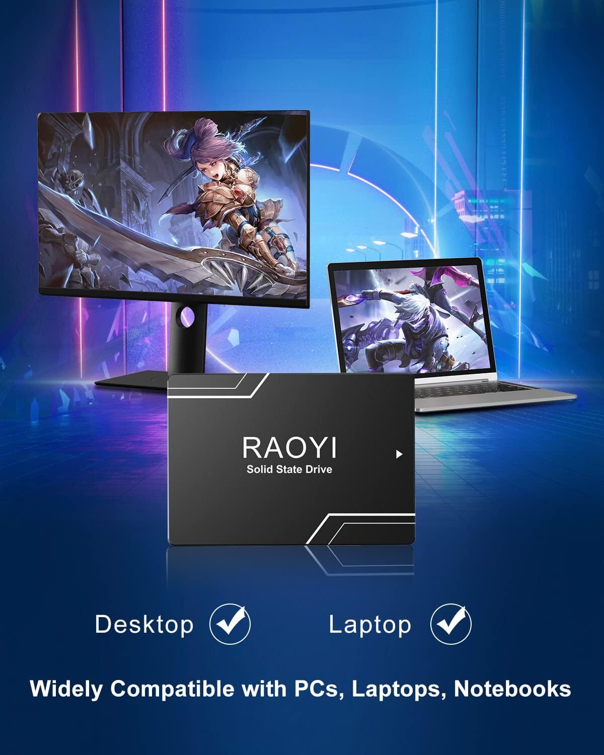 RAOYI 1TB SSD 550MB/s 2.5” SATA III Internal Solid State Drive High Speed 6Gb/s