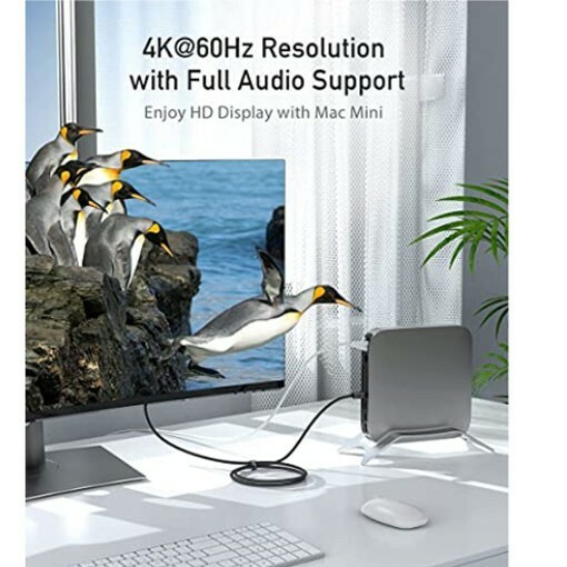 6 FT USB C to DisplayPort Cable for Home Office (4K@60Hz, 2K@165Hz)Thunderbolt 3